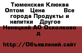 Тюменская Клюква Оптом › Цена ­ 200 - Все города Продукты и напитки » Другое   . Ненецкий АО,Осколково д.